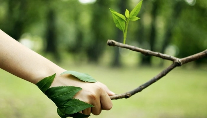 Licenciamentos Ambientais e Licenças Ambientais Avaré - Licenciamento Ambiental em Campinas